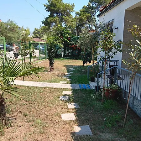 بيت ضيافة Alb Park *